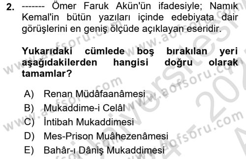 Eleştiri Tarihi Dersi 2024 - 2025 Yılı (Vize) Ara Sınav Soruları 2. Soru