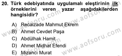 Eleştiri Tarihi Dersi 2024 - 2025 Yılı (Vize) Ara Sınav Soruları 20. Soru