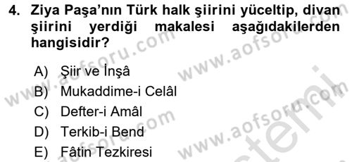 Eleştiri Tarihi Dersi 2024 - 2025 Yılı (Vize) Ara Sınav Soruları 4. Soru
