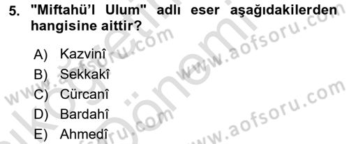 Eleştiri Tarihi Dersi 2024 - 2025 Yılı (Vize) Ara Sınav Soruları 5. Soru