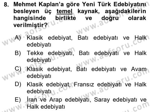 Eleştiri Tarihi Dersi 2024 - 2025 Yılı (Vize) Ara Sınav Soruları 8. Soru