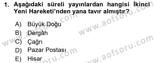Eleştiri Tarihi Dersi 2024 - 2025 Yılı (Final) Dönem Sonu Sınav Soruları 1. Soru