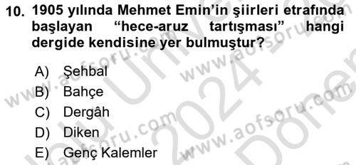 Eleştiri Tarihi Dersi 2024 - 2025 Yılı (Final) Dönem Sonu Sınav Soruları 10. Soru