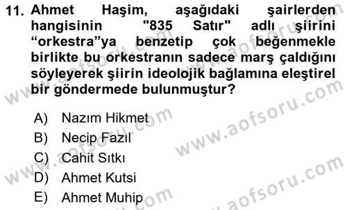 Eleştiri Tarihi Dersi 2024 - 2025 Yılı (Final) Dönem Sonu Sınav Soruları 11. Soru