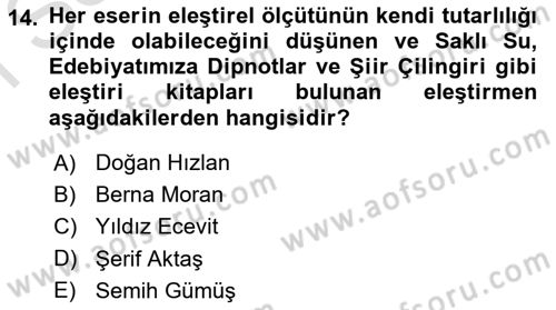 Eleştiri Tarihi Dersi 2024 - 2025 Yılı (Final) Dönem Sonu Sınav Soruları 14. Soru