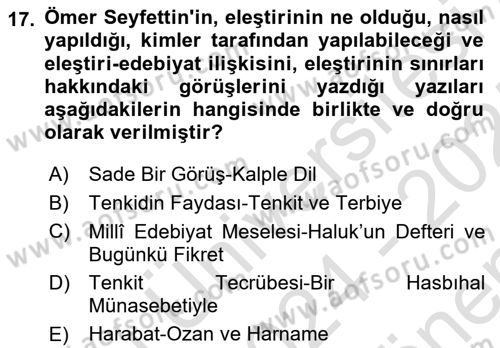 Eleştiri Tarihi Dersi 2024 - 2025 Yılı (Final) Dönem Sonu Sınav Soruları 17. Soru