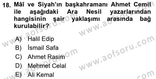 Eleştiri Tarihi Dersi 2024 - 2025 Yılı (Final) Dönem Sonu Sınav Soruları 18. Soru