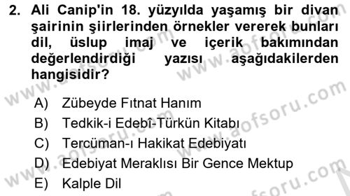 Eleştiri Tarihi Dersi 2024 - 2025 Yılı (Final) Dönem Sonu Sınav Soruları 2. Soru