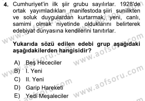 Eleştiri Tarihi Dersi 2024 - 2025 Yılı (Final) Dönem Sonu Sınav Soruları 4. Soru
