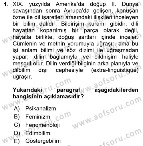 Eleştiri Tarihi Dersi 2024 - 2025 Yılı Yaz Okulu Sınav Soruları 1. Soru