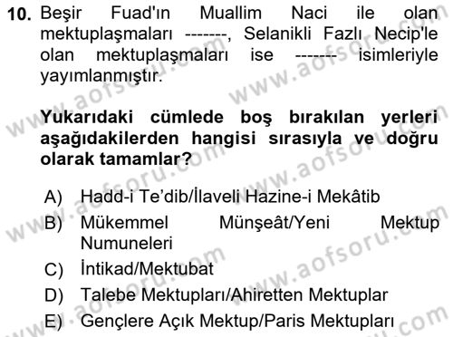 Eleştiri Tarihi Dersi 2024 - 2025 Yılı Yaz Okulu Sınav Soruları 10. Soru