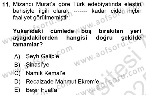 Eleştiri Tarihi Dersi 2024 - 2025 Yılı Yaz Okulu Sınav Soruları 11. Soru