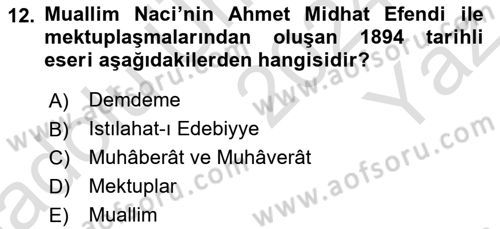 Eleştiri Tarihi Dersi 2024 - 2025 Yılı Yaz Okulu Sınav Soruları 12. Soru