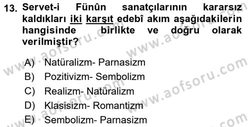 Eleştiri Tarihi Dersi 2024 - 2025 Yılı Yaz Okulu Sınav Soruları 13. Soru