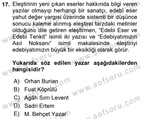 Eleştiri Tarihi Dersi 2024 - 2025 Yılı Yaz Okulu Sınav Soruları 17. Soru