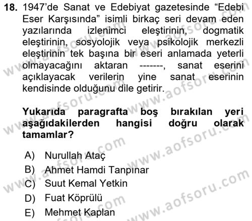 Eleştiri Tarihi Dersi 2024 - 2025 Yılı Yaz Okulu Sınav Soruları 18. Soru