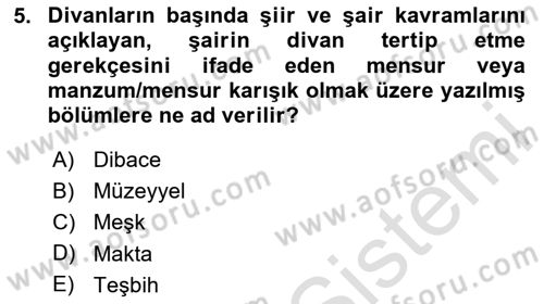 Eleştiri Tarihi Dersi 2024 - 2025 Yılı Yaz Okulu Sınav Soruları 5. Soru