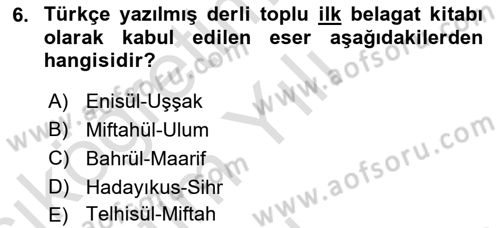 Eleştiri Tarihi Dersi 2024 - 2025 Yılı Yaz Okulu Sınav Soruları 6. Soru