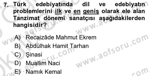 Eleştiri Tarihi Dersi 2024 - 2025 Yılı Yaz Okulu Sınav Soruları 7. Soru