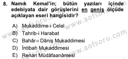 Eleştiri Tarihi Dersi 2024 - 2025 Yılı Yaz Okulu Sınav Soruları 8. Soru
