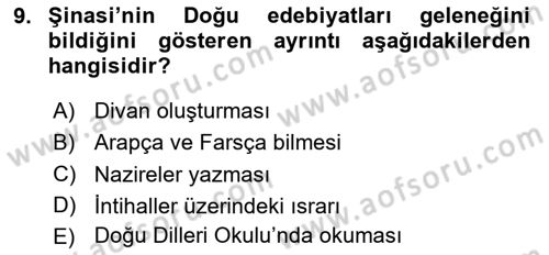 Eleştiri Tarihi Dersi 2024 - 2025 Yılı Yaz Okulu Sınav Soruları 9. Soru
