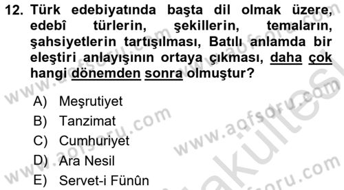 Eleştiri Tarihi Dersi 2025 - 2026 Yılı (Vize) Ara Sınav Soruları 12. Soru