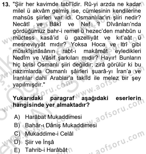 Eleştiri Tarihi Dersi 2025 - 2026 Yılı (Vize) Ara Sınav Soruları 13. Soru
