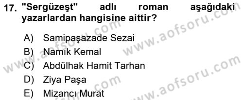 Eleştiri Tarihi Dersi 2025 - 2026 Yılı (Vize) Ara Sınav Soruları 17. Soru
