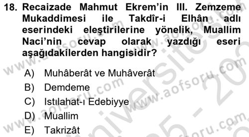 Eleştiri Tarihi Dersi 2025 - 2026 Yılı (Vize) Ara Sınav Soruları 18. Soru