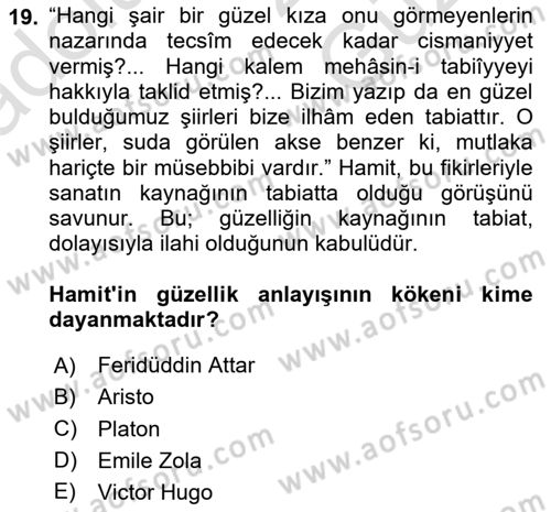 Eleştiri Tarihi Dersi 2025 - 2026 Yılı (Vize) Ara Sınav Soruları 19. Soru