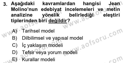 Eleştiri Tarihi Dersi 2025 - 2026 Yılı (Vize) Ara Sınav Soruları 3. Soru