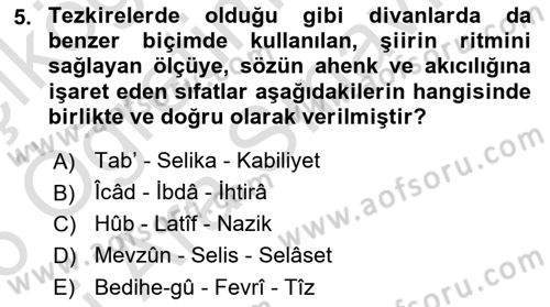 Eleştiri Tarihi Dersi 2025 - 2026 Yılı (Vize) Ara Sınav Soruları 5. Soru