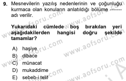 Eleştiri Tarihi Dersi 2025 - 2026 Yılı (Vize) Ara Sınav Soruları 9. Soru