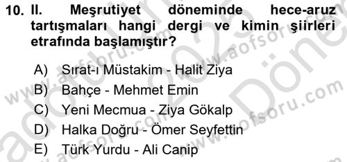 Eleştiri Tarihi Dersi 2025 - 2026 Yılı (Final) Dönem Sonu Sınav Soruları 10. Soru
