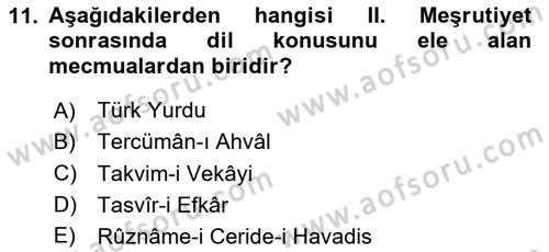 Eleştiri Tarihi Dersi 2025 - 2026 Yılı (Final) Dönem Sonu Sınav Soruları 11. Soru