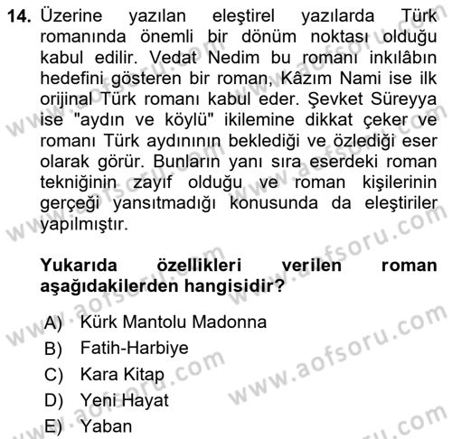 Eleştiri Tarihi Dersi 2025 - 2026 Yılı (Final) Dönem Sonu Sınav Soruları 14. Soru