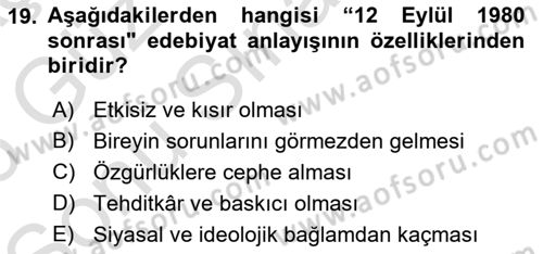 Eleştiri Tarihi Dersi 2025 - 2026 Yılı (Final) Dönem Sonu Sınav Soruları 19. Soru