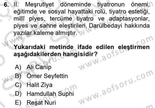 Eleştiri Tarihi Dersi 2025 - 2026 Yılı (Final) Dönem Sonu Sınav Soruları 6. Soru