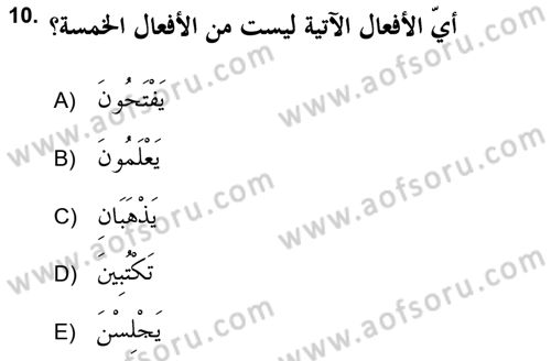 Arapça 2 (APÇ) Dersi 2017 - 2018 Yılı (Vize) Ara Sınav Soruları 10. Soru