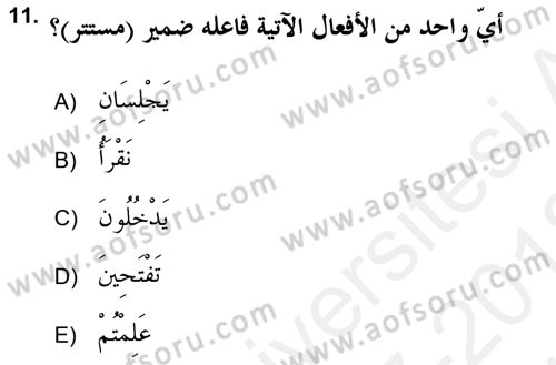 Arapça 2 (APÇ) Dersi 2017 - 2018 Yılı (Vize) Ara Sınav Soruları 11. Soru