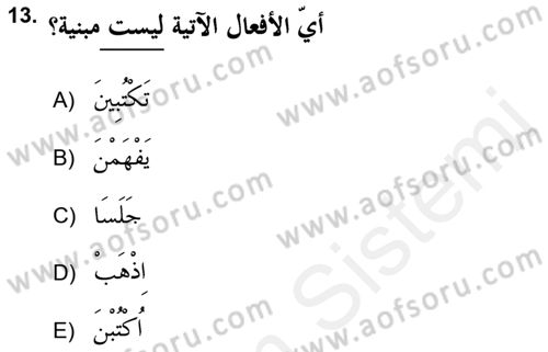 Arapça 2 (APÇ) Dersi 2017 - 2018 Yılı (Vize) Ara Sınav Soruları 13. Soru