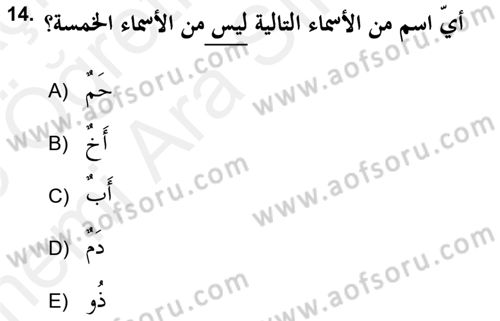 Arapça 2 (APÇ) Dersi 2017 - 2018 Yılı (Vize) Ara Sınav Soruları 14. Soru