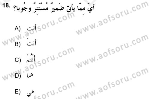 Arapça 2 (APÇ) Dersi 2017 - 2018 Yılı (Vize) Ara Sınav Soruları 18. Soru