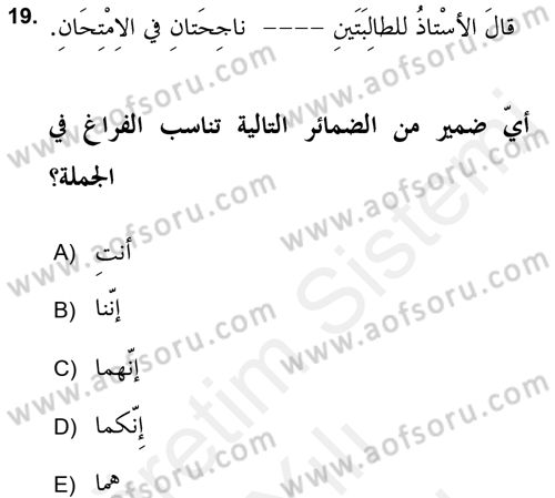 Arapça 2 (APÇ) Dersi 2017 - 2018 Yılı (Vize) Ara Sınav Soruları 19. Soru