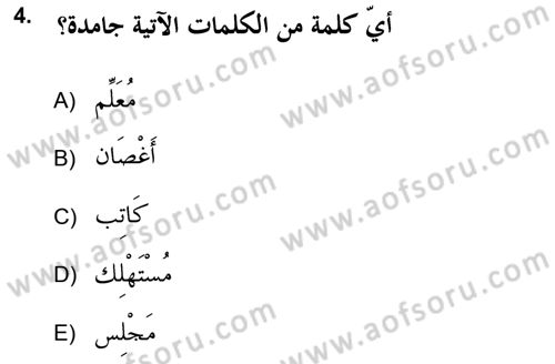 Arapça 2 (APÇ) Dersi 2017 - 2018 Yılı (Vize) Ara Sınav Soruları 4. Soru