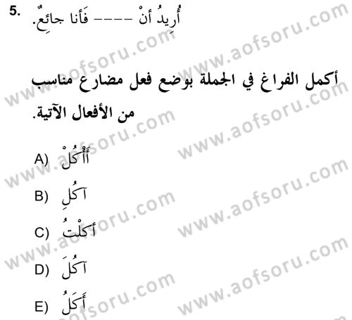 Arapça 2 (APÇ) Dersi 2017 - 2018 Yılı (Vize) Ara Sınav Soruları 5. Soru