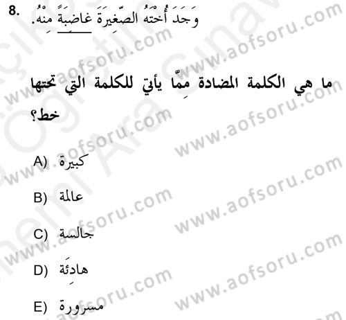 Arapça 2 (APÇ) Dersi 2017 - 2018 Yılı (Vize) Ara Sınav Soruları 8. Soru