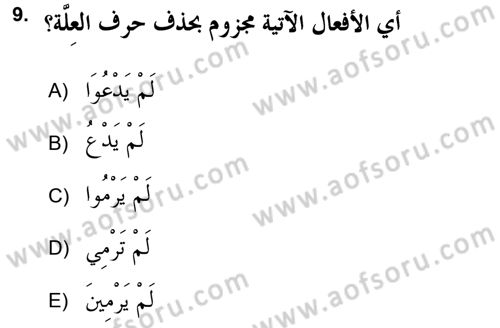 Arapça 2 (APÇ) Dersi 2017 - 2018 Yılı (Vize) Ara Sınav Soruları 9. Soru