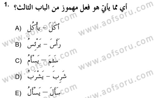 Arapça 2 (APÇ) Dersi 2017 - 2018 Yılı (Final) Dönem Sonu Sınav Soruları 1. Soru