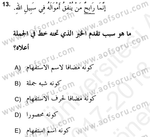 Arapça 2 (APÇ) Dersi 2017 - 2018 Yılı (Final) Dönem Sonu Sınav Soruları 13. Soru
